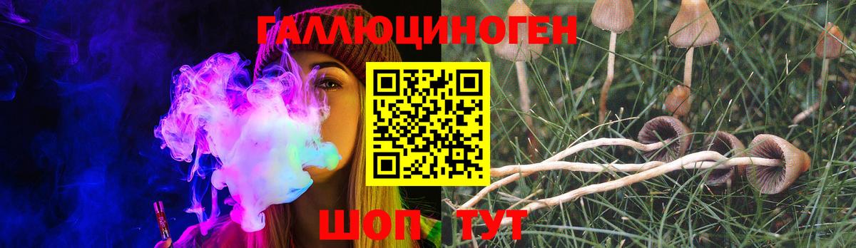 Псилоцибиновые грибы Magic Shrooms Ефремов